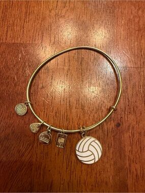 Alex and Ani volleyball charm bracelet with white volleyball graphic